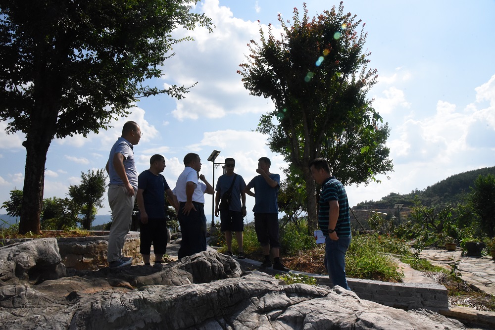 �Ƿ�����(�й���)-�ٷ���վ